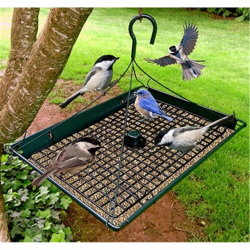 2-in-1 Platform Bird Feeder - Pack of 6 Perspective: front