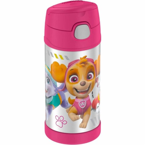 Paw Patrol Stainless Steel Funtainer Hydration Bottle, 12 oz