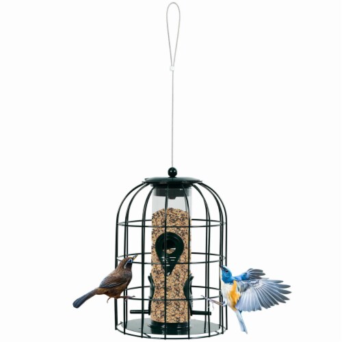 Squirrel proof Caged Tube Wild Bird Feeder Outdoor Metal Seed