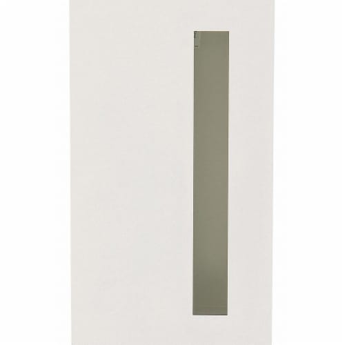 Dana FireExtinguisherCabinet,20-3/4inH,Recssd  7210-DV Perspective: front