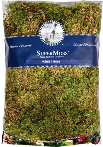 SuperMoss® Dry Forest Moss Perspective: front