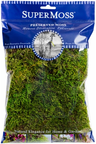 SuperMoss® Preserved Forest Moss Perspective: front