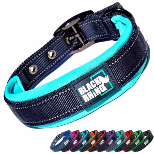 Padded puppy collar hotsell