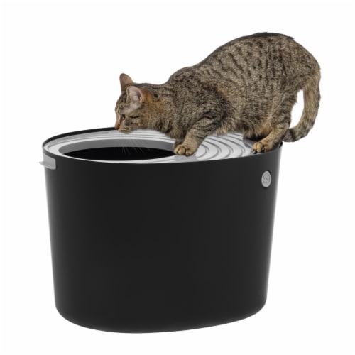 Iris litter store box