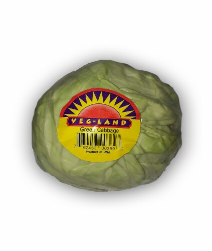 Veg-Land Green Cabbage Perspective: front