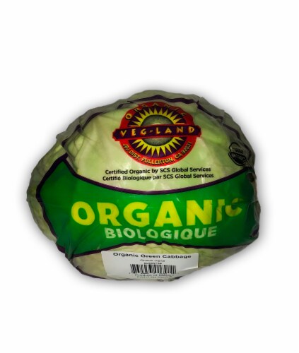 Veg-Land Organic Green Cabbage Perspective: front