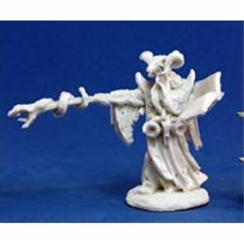 Reaper Miniatures 77174 Bones - Leisynn- Mercenary Mage Perspective: front