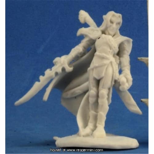 Reaper Miniatures REM77221 25mm Scale Ardynn, Elf Warrior Mage Perspective: front