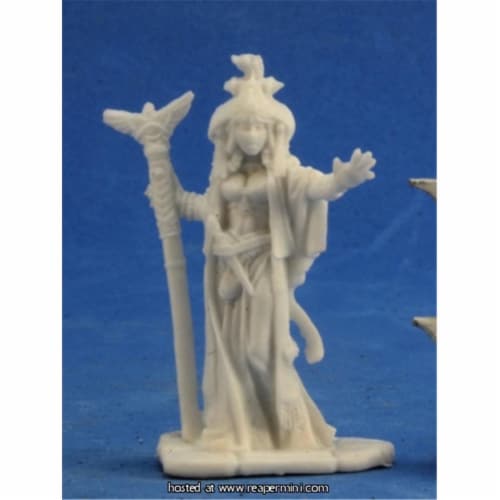 Reaper Miniatures REM89022 25mm Scale Alahazra Iconic Oracle, Julie Guthrie - Pathfinder Bone Perspective: front