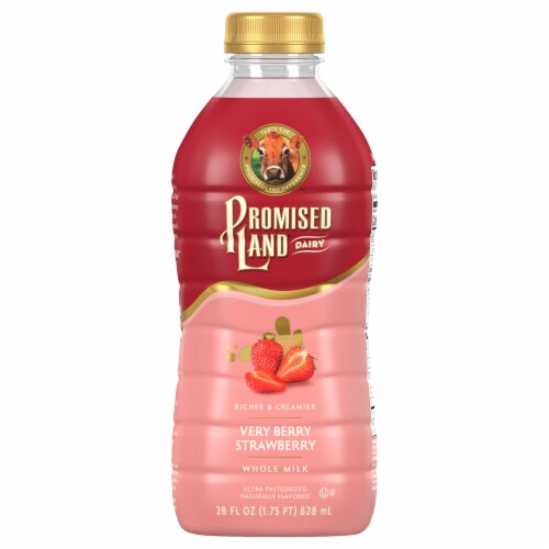 Promised Land® Dairy Strawberry Milk Perspective: front
