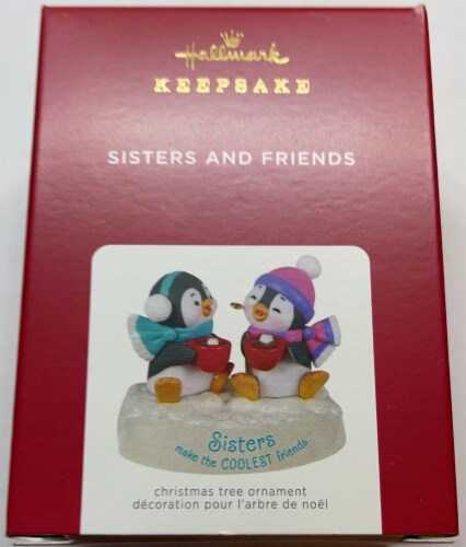 38+ Sister Christmas Ornaments 2021