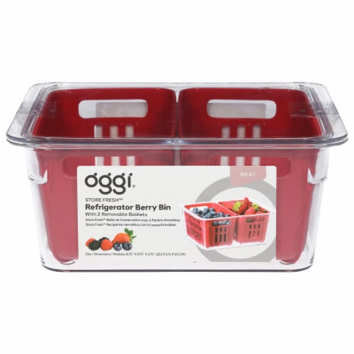 Red Large Plastic Storage Bin, 1 - Kroger