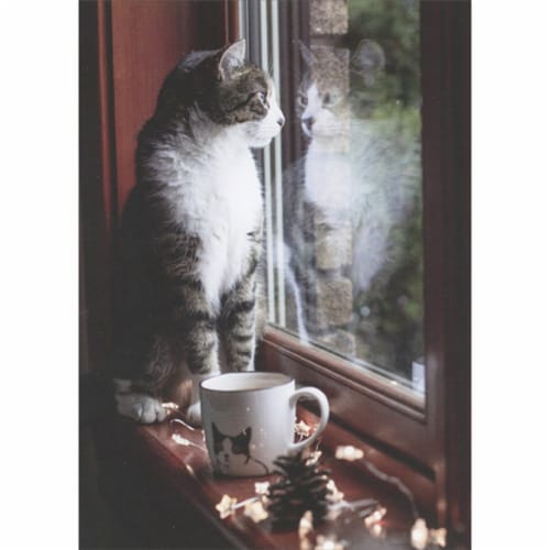 RSVP Cat on Brown Window Sill Next to Teacup Staring Out Window Thinking of You Card Perspective: front