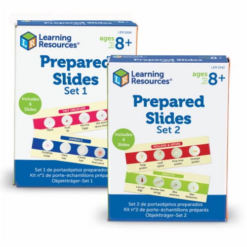 Learning Resources® Prepared Slides Pack Perspective: front