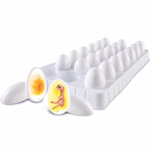 Learning Resources® Chick Life Cycle Exploration Set Perspective: front