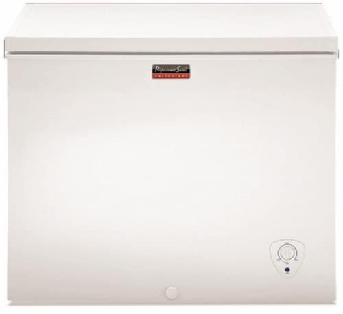 Professional Series Chest Freezer Perspective: front
