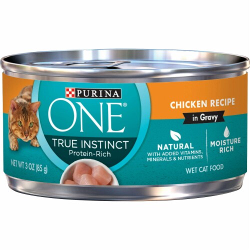 Purina one wet cat food 2025