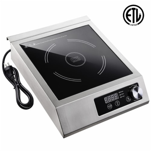 Best commercial induction burner hotsell