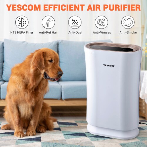 Yescom 35W 4 in 1 Air Purifier with HEPA Filter UV C Sanitizer for