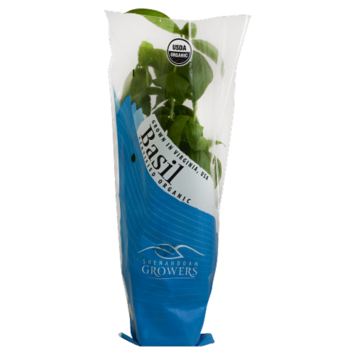 Shenandoah Growers Organic Potted Basil Perspective: front