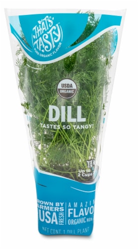 That’s Tasty Organic Dill Plant