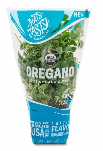 That's TastyOregano Plant Perspective: front