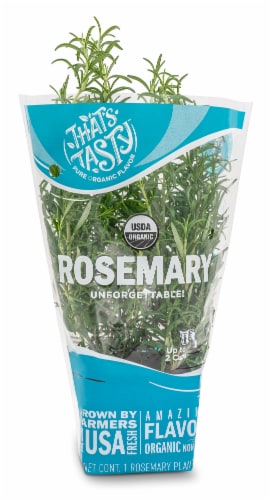 That's Tasty Organic Rosemary Herb Plant