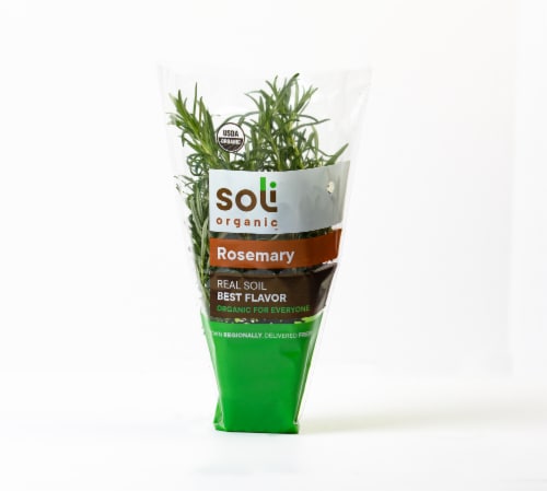 Soli Organic™ Living Rosemary Perspective: front