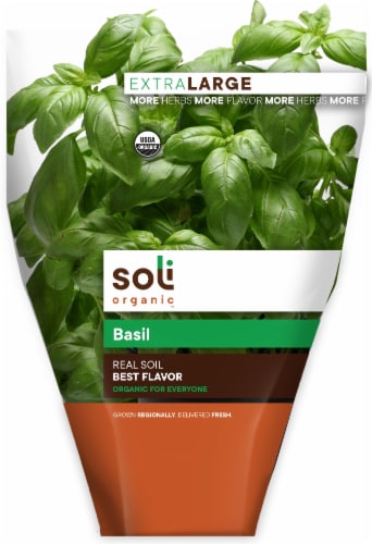 Soli Organic Real Soil Basil Perspective: front