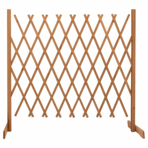 Garden Trellis Fence Orange 70.9 x39.4 Solid Firwood Perspective: front
