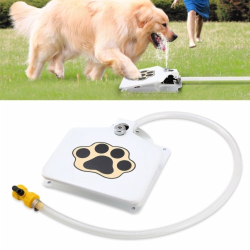 Outdoor Dog Food Dispenser