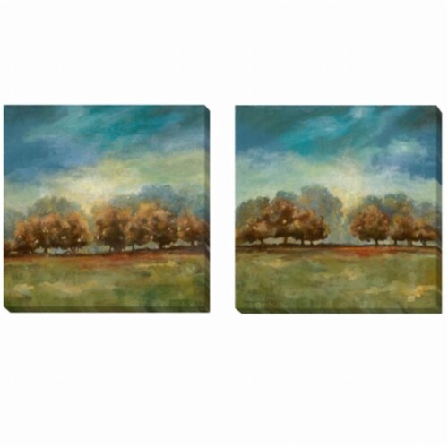 Clearing Sky Canvas Giclee Set - 20 in. Perspective: front