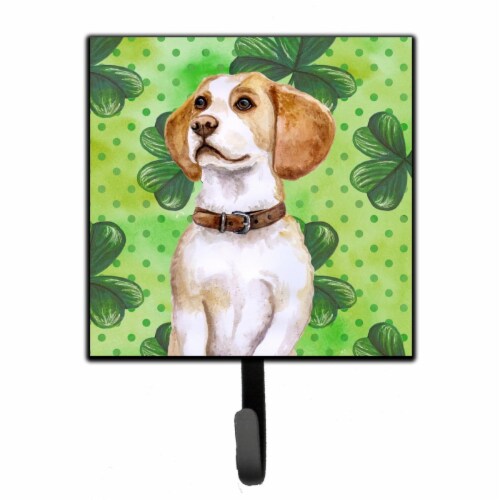 beagle st patricks day cover