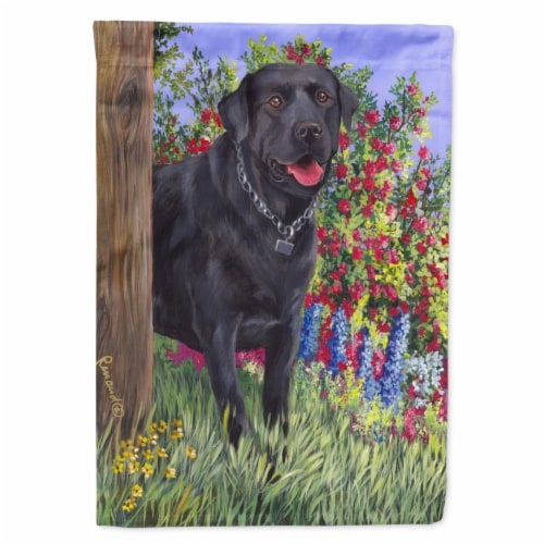28 x 0.01 x 40 in. Black Labrador Retriever Canvas House Flag Perspective: front