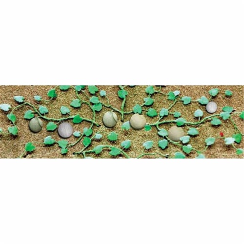2.75 in. Cantaloupe Patch - Pack of 4 Perspective: front