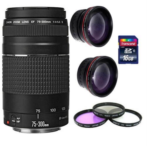 Canon Zoom Telephoto Ef 75 300mm F 4 0 5 6 Iii Lens 16gb Accessory Kit 1 King Soopers