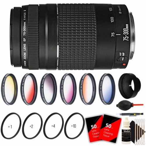 Canon Ef 75 300mm F 4 5 6 Iii Telephoto Zoom Lens With Accessories For Canon 760d And 1300d 1 Harris Teeter Pharmacy