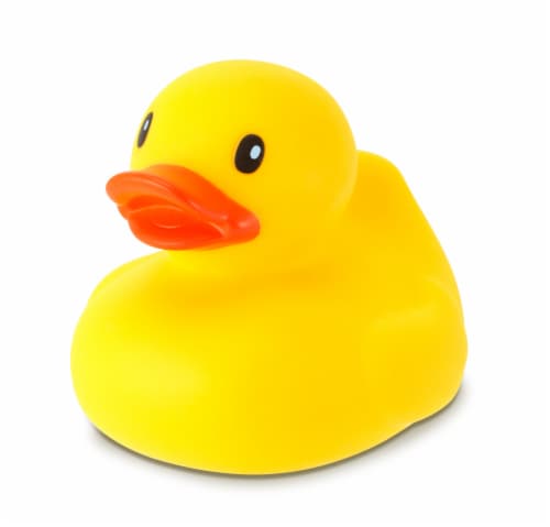 Infantino® Fun Time Duck™ Perspective: front