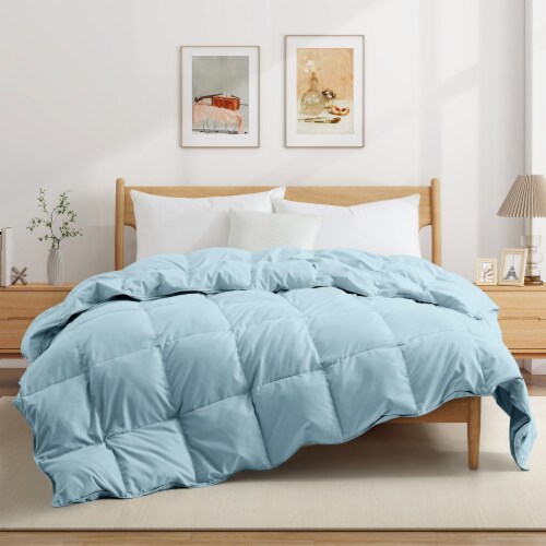 Puredown Lightweight White Goose Down Comforter Oversize Summer Blanket 88X104 Blue King King Mariano s