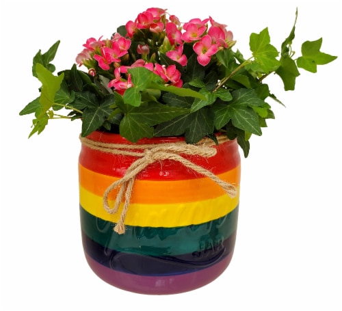 Harmony Garden Pink Flowering Potted Plant Perspective: front