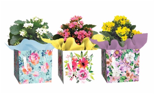 Assorted Blooming Floral In Seasonal Gift Box Perspective: front