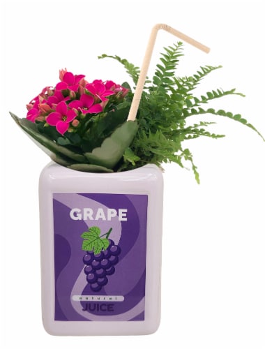 Garden In Unique Juice Box Theme Ceramic Perspective: front