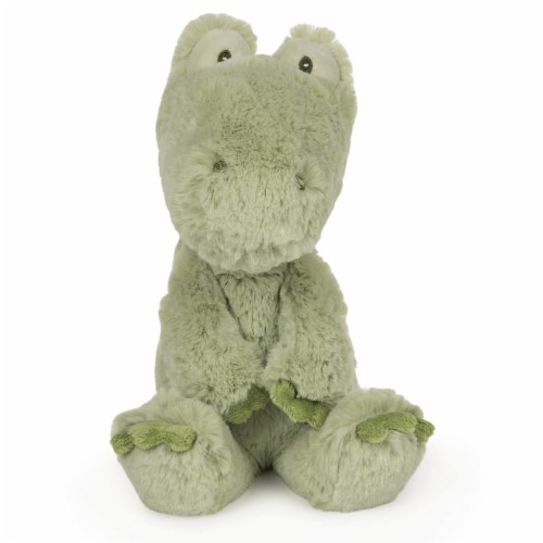 teddy bear frenchie