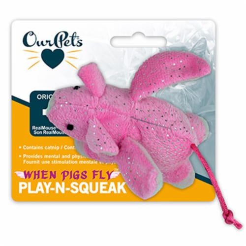 Pig cat toy deals