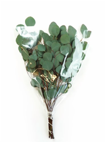 Continental Floral Greens 4 Stem Eucalytus Perspective: front