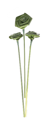 Continental Floral Greens Aspidistra Roses Perspective: front