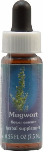 Flower Essence  Mugwort Supplement Dropper Perspective: front