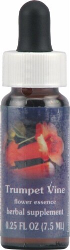 Flower Essence  FES Quintessentials™ Trumpet Vine Supplement Dropper Perspective: front