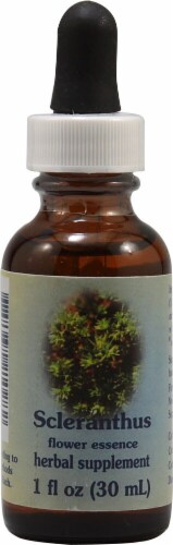Flower Essence  Scleranthus Dropper Perspective: front