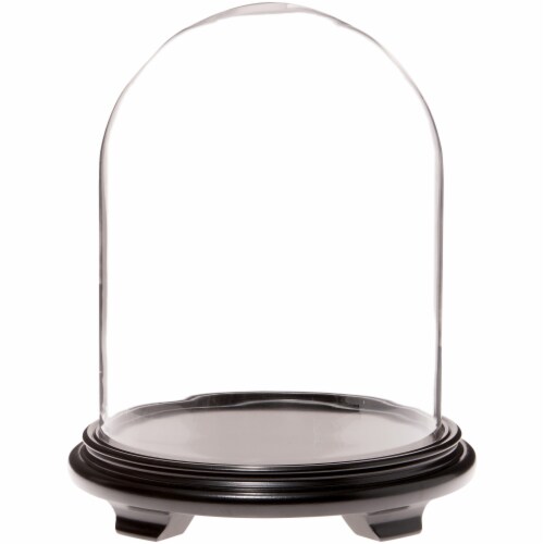 Plymor 11.75 x 15 Glass Display Dome Cloche (Black Wood Veneer Footed Base) Perspective: front